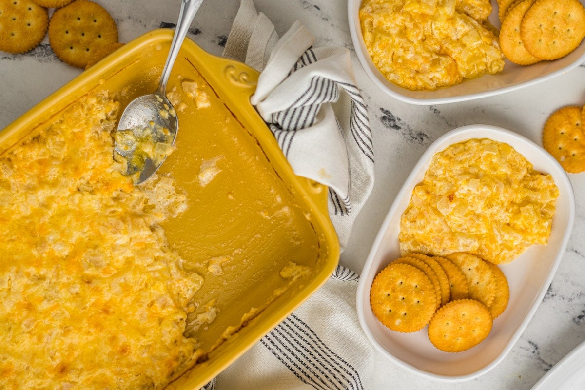 Vidalia Onion Dip Retro Potluck