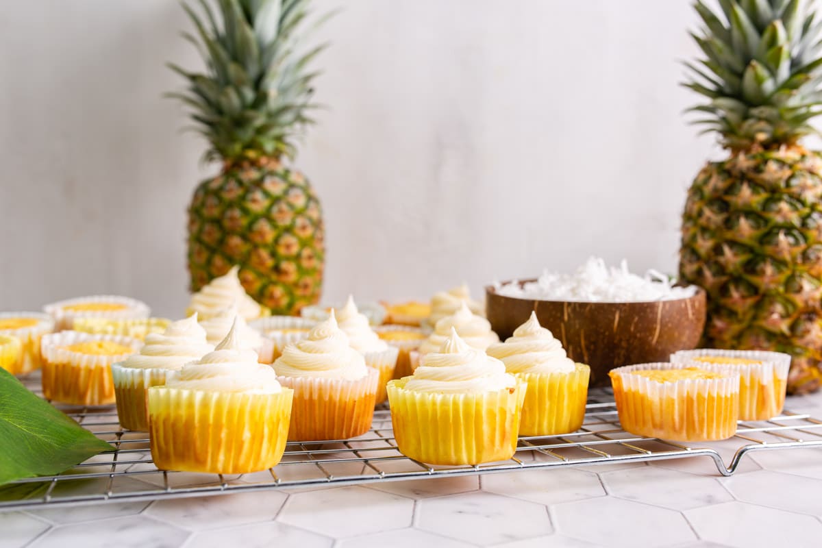 frosted cupcakes without toppings